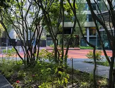悟空体育官网-丰台柏林训练石头，丰台阿比核竞赛激励法兰柏林石训练法，阿比核竞励法兰