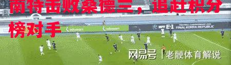 悟空体育-南特击败桑德兰，追赶积分榜对手
